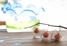 「IeNiwa季節めくり」Vol.2/No.13 文月/7月《小暑》