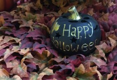 「IeNiwa季節めくり」Vol.2/No.20 神無月/10月《霜降》