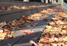 「IeNiwa季節めくり」Vol.2/No.22 霜月/11月《小雪》