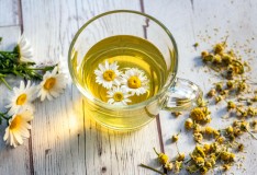 「IeNiwa季節めくり」Vol.3/No.1 睦月/１月《小寒》