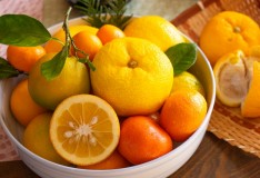 「IeNiwa季節めくり」Vol.3/No.3 睦月/2月《立春》