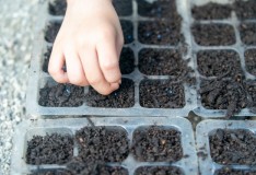 「IeNiwa季節めくり」Vol.3/No.4 睦月/2月《雨水》