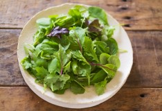 「IeNiwa季節めくり」Vol.3/No.6 弥生/3月《春分》